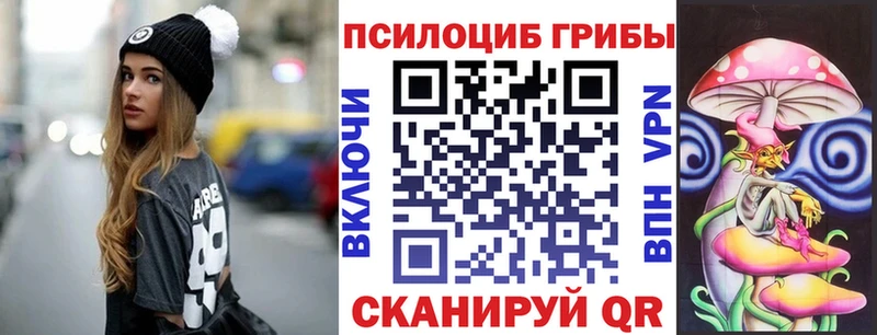 Галлюциногенные грибы Psilocybine cubensis где купить Неман